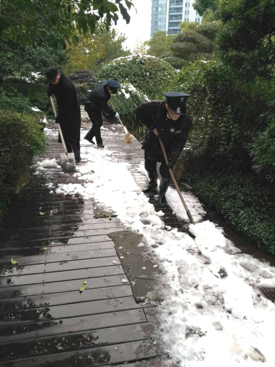 1449474012966407C11F.jpg 1.jpg