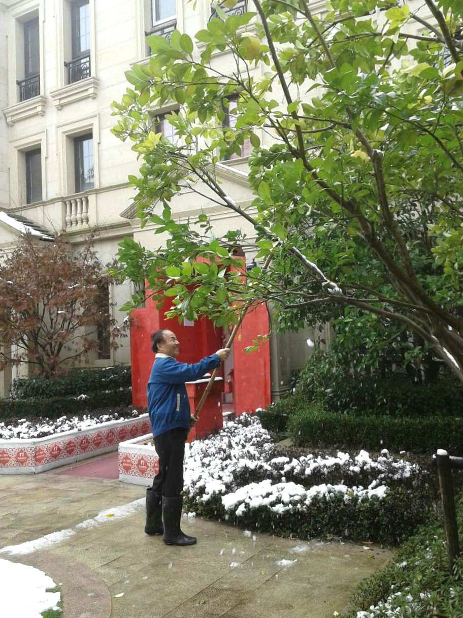 144947412758269381BD.jpg 3.jpg