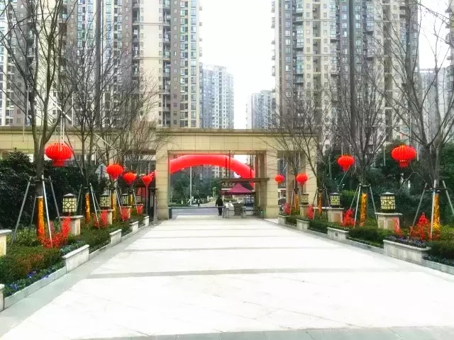 1483683456156463pF22.jpg 640.webp (3).jpg