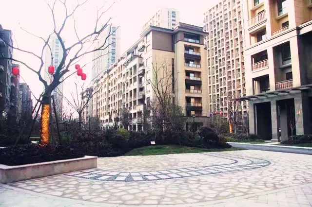 1483683532565867393E.jpg 640.webp (7).jpg