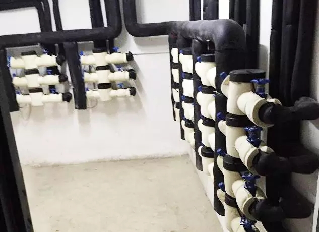 1484545327181163BB02.jpg 640.webp (10).jpg