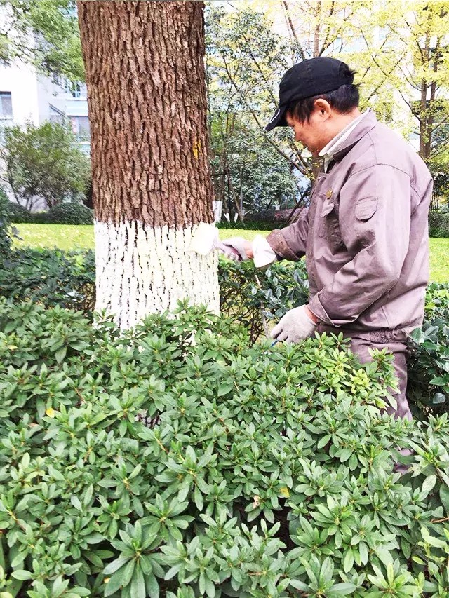 1484545341853191EE09.jpg 640.webp (11).jpg