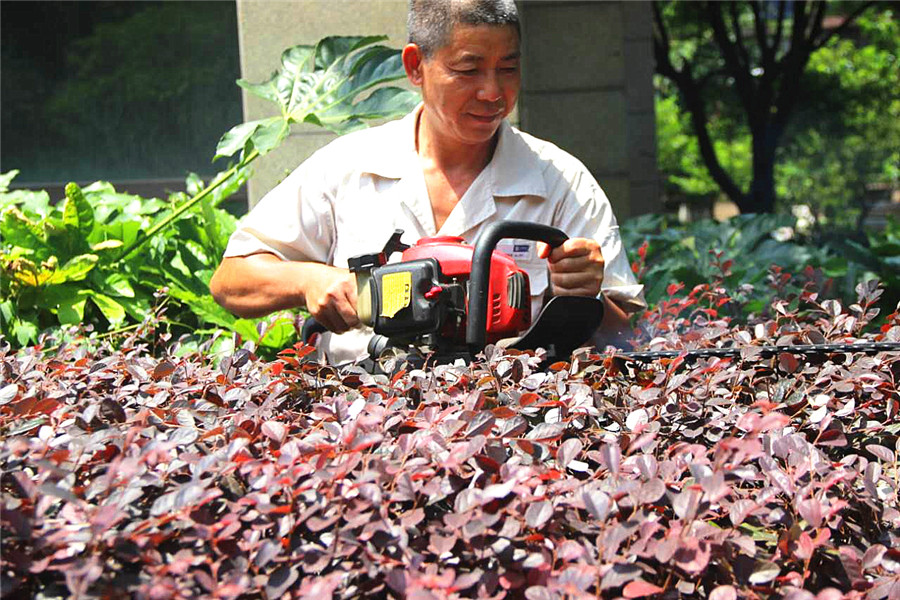 14877294943939123AE5.jpg 866755038002992344 (2).jpg