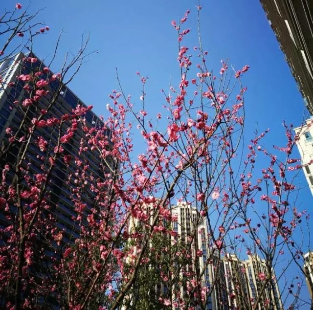 14878113524038538973.jpg 640.webp (9).jpg