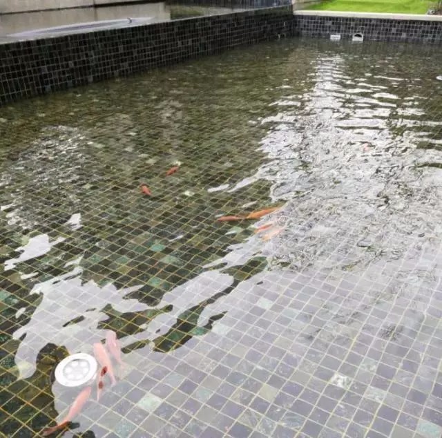 148781153094915241C0.jpg 640.webp (12).jpg