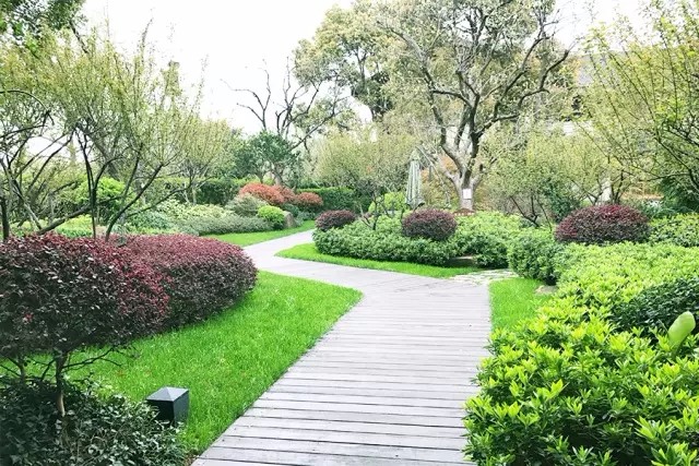 14914432581141413921.jpg 640.webp (28).jpg