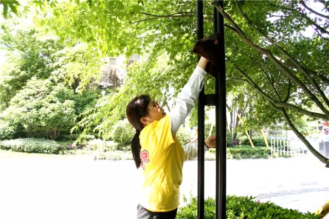 1493975237971227BAAE.jpg 640.webp (3).jpg