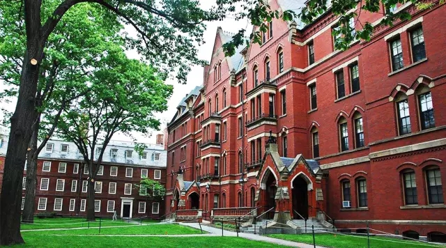 149542030872224553D7.jpg 640.webp (8).jpg